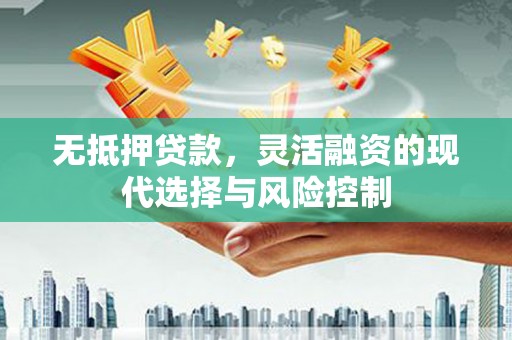 萨嘎无抵押贷款，灵活融资的现代选择与风险控制