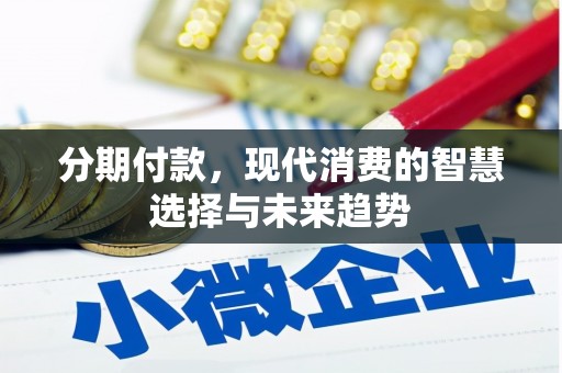 萨嘎分期付款，现代消费的智慧选择与未来趋势