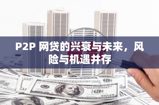 萨嘎P2P 网贷的兴衰与未来，风险与机遇并存