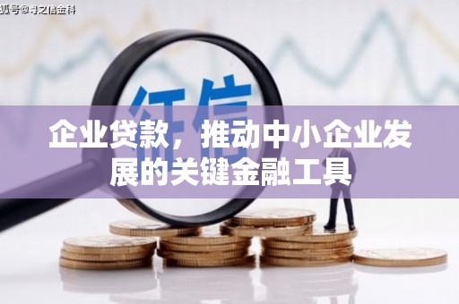 萨嘎企业贷款，推动中小企业发展的关键金融工具