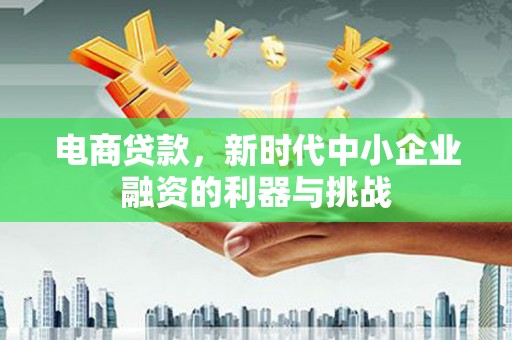 萨嘎电商贷款，新时代中小企业融资的利器与挑战