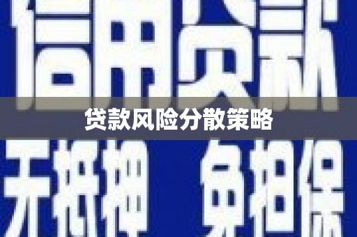 萨嘎贷款风险分散策略