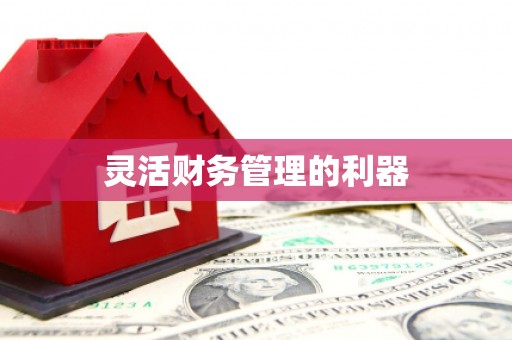 萨嘎灵活财务管理的利器