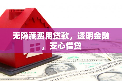 萨嘎无隐藏费用贷款，透明金融，安心借贷