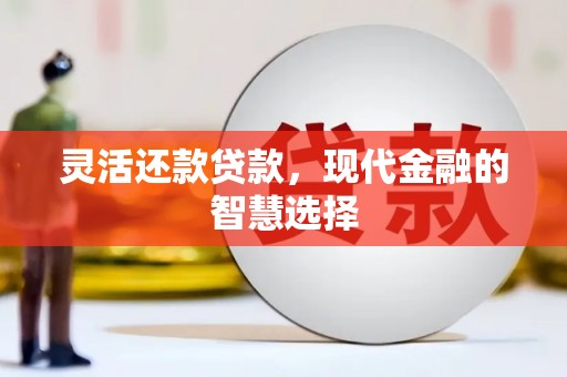 萨嘎灵活还款贷款，现代金融的智慧选择