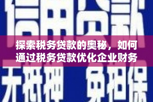 萨嘎探索税务贷款的奥秘，如何通过税务贷款优化企业财务