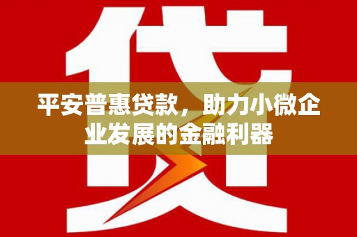 萨嘎平安普惠贷款，助力小微企业发展的金融利器