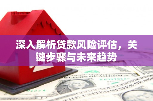 萨嘎深入解析贷款风险评估，关键步骤与未来趋势