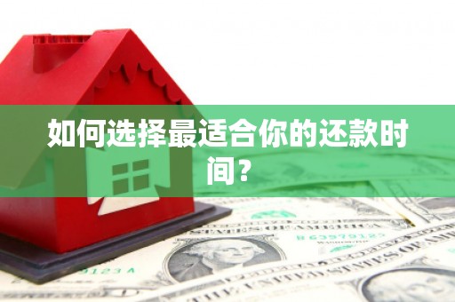 萨嘎如何选择最适合你的还款时间？