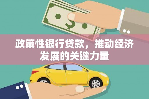 萨嘎政策性银行贷款，推动经济发展的关键力量