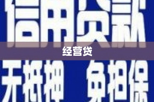 萨嘎经营贷