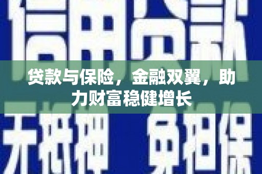 萨嘎贷款与保险，金融双翼，助力财富稳健增长