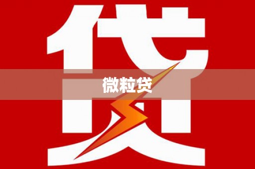萨嘎微粒贷