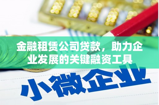 萨嘎金融租赁公司贷款，助力企业发展的关键融资工具