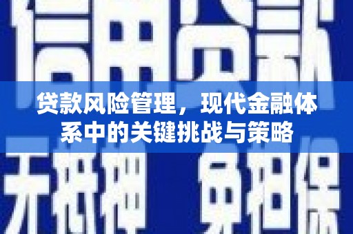 萨嘎贷款风险管理，现代金融体系中的关键挑战与策略