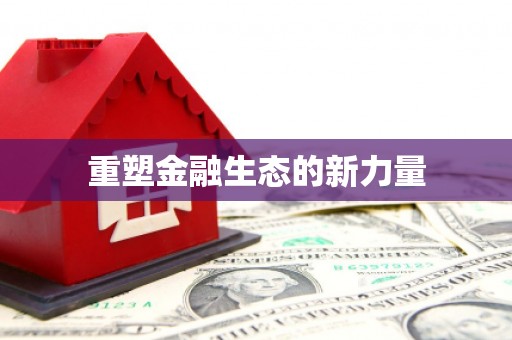 萨嘎重塑金融生态的新力量