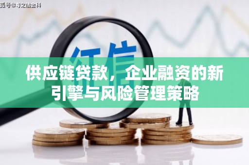 萨嘎供应链贷款，企业融资的新引擎与风险管理策略