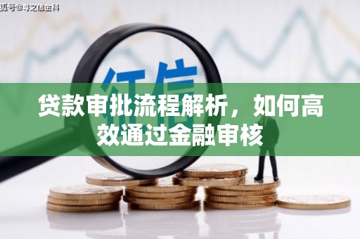 萨嘎贷款审批流程解析，如何高效通过金融审核