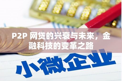 萨嘎P2P 网贷的兴衰与未来，金融科技的变革之路