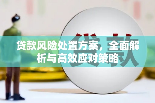 萨嘎贷款风险处置方案，全面解析与高效应对策略