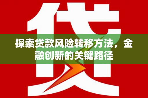 萨嘎探索贷款风险转移方法，金融创新的关键路径