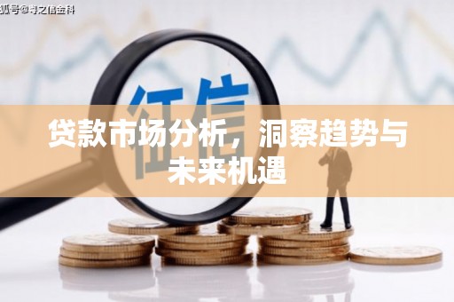 萨嘎贷款市场分析，洞察趋势与未来机遇