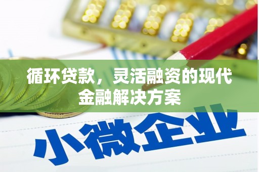 萨嘎循环贷款，灵活融资的现代金融解决方案