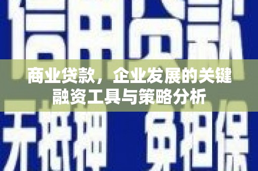 萨嘎商业贷款，企业发展的关键融资工具与策略分析