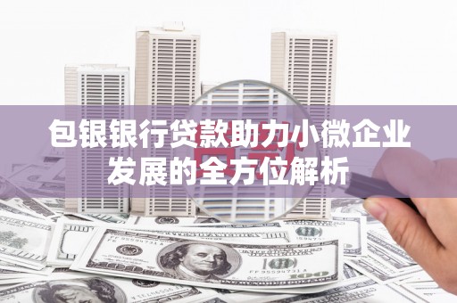 萨嘎包银银行贷款助力小微企业发展的全方位解析