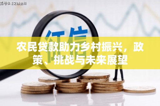 萨嘎农民贷款助力乡村振兴，政策、挑战与未来展望