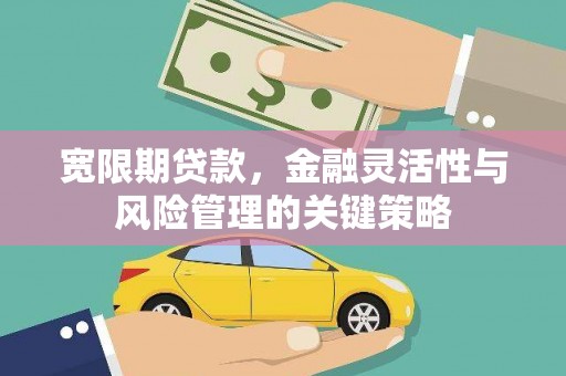 萨嘎宽限期贷款，金融灵活性与风险管理的关键策略