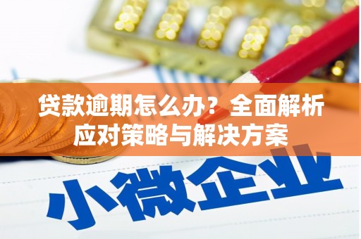 萨嘎贷款逾期怎么办？全面解析应对策略与解决方案