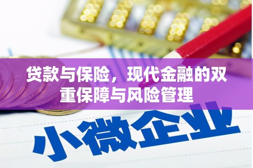 萨嘎贷款与保险，现代金融的双重保障与风险管理