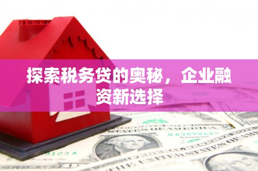 萨嘎探索税务贷的奥秘，企业融资新选择