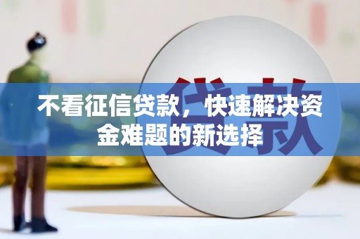 萨嘎不看征信贷款，快速解决资金难题的新选择