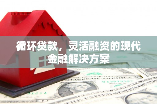 萨嘎循环贷款，灵活融资的现代金融解决方案