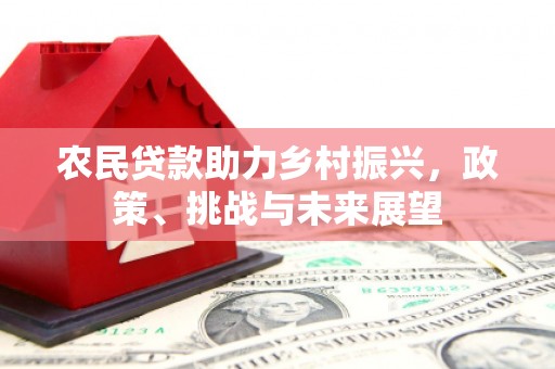 萨嘎农民贷款助力乡村振兴，政策、挑战与未来展望