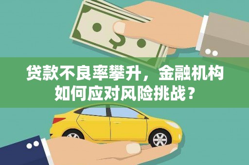 萨嘎贷款不良率攀升，金融机构如何应对风险挑战？