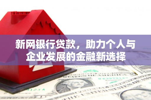 萨嘎新网银行贷款，助力个人与企业发展的金融新选择