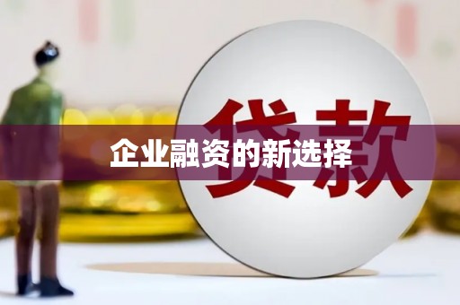 萨嘎企业融资的新选择