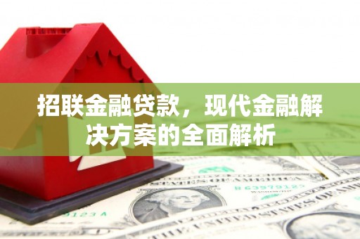 萨嘎招联金融贷款，现代金融解决方案的全面解析