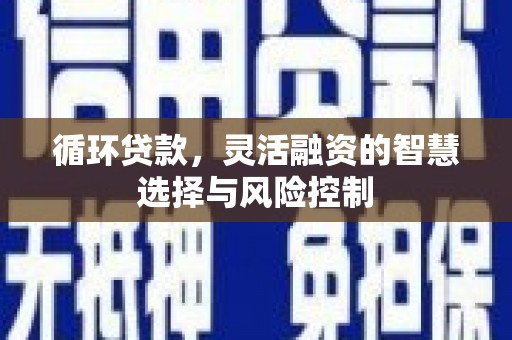 萨嘎循环贷款，灵活融资的智慧选择与风险控制