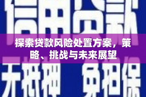 萨嘎探索贷款风险处置方案，策略、挑战与未来展望