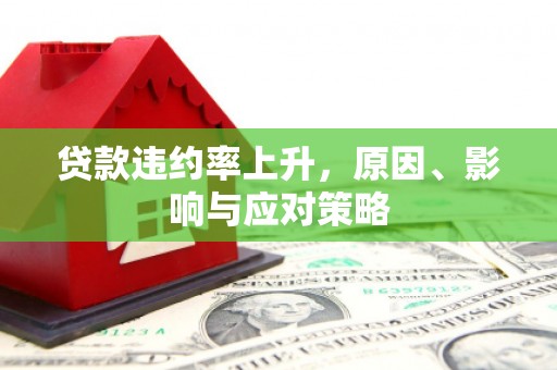 萨嘎贷款违约率上升，原因、影响与应对策略