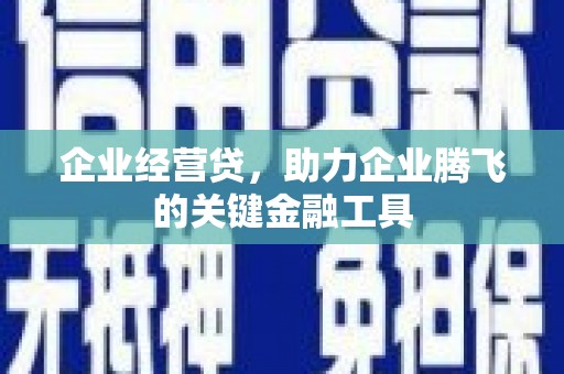 萨嘎企业经营贷，助力企业腾飞的关键金融工具