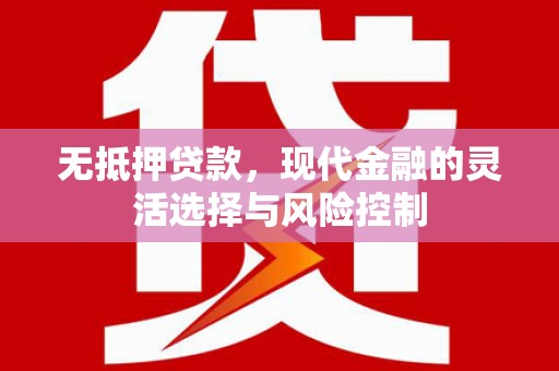 萨嘎无抵押贷款，现代金融的灵活选择与风险控制
