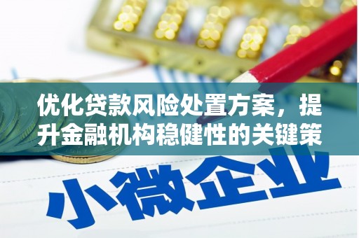 萨嘎优化贷款风险处置方案，提升金融机构稳健性的关键策略