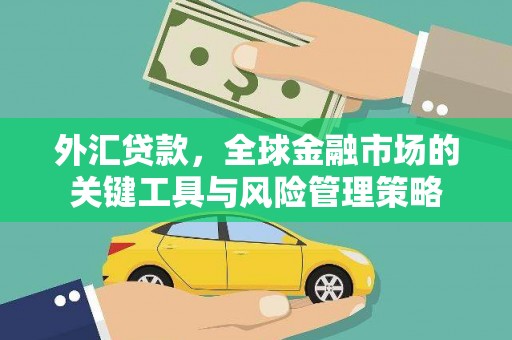 萨嘎外汇贷款，全球金融市场的关键工具与风险管理策略