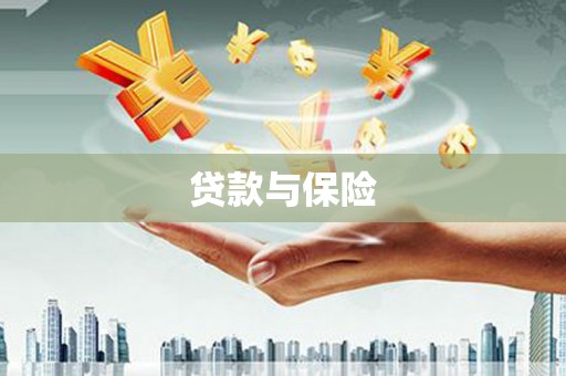 萨嘎贷款与保险