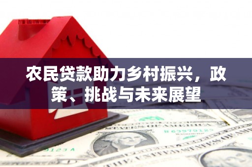 萨嘎农民贷款助力乡村振兴，政策、挑战与未来展望